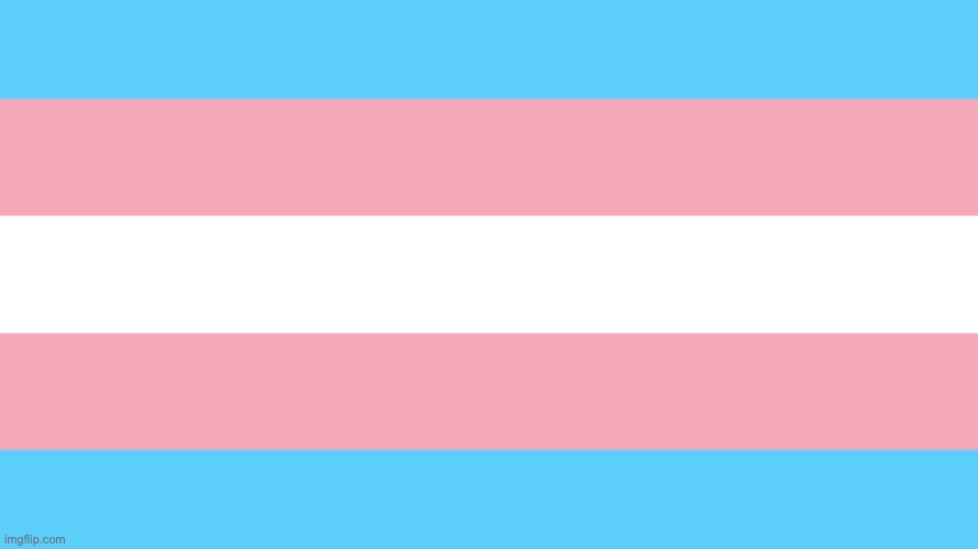 Trans Pride Flag | image tagged in trans pride flag | made w/ Imgflip meme maker