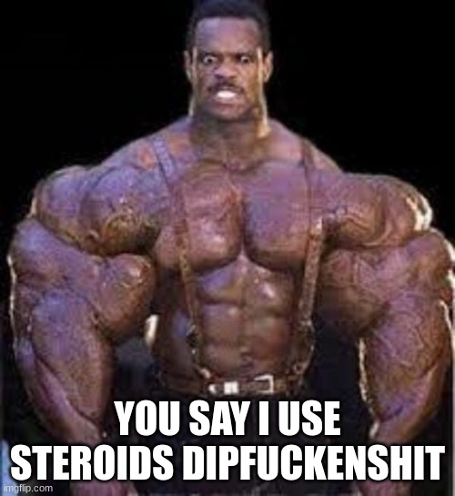 Giga Ni*** | YOU SAY I USE STEROIDS DIPFUCKENSHIT | image tagged in giga ni | made w/ Imgflip meme maker