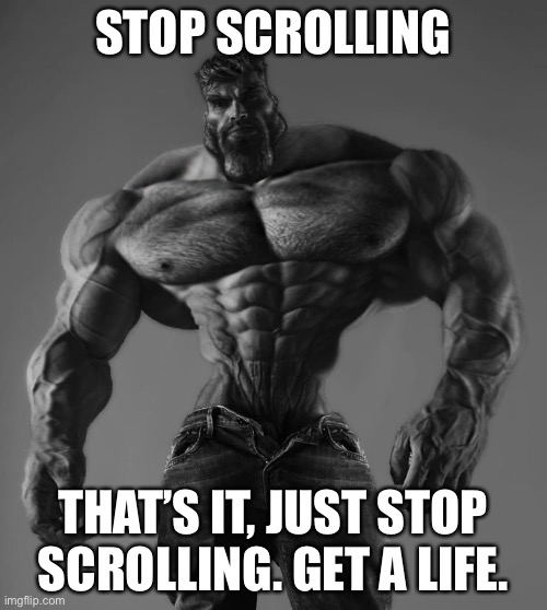 :troll: | STOP SCROLLING; THAT’S IT, JUST STOP SCROLLING. GET A LIFE. | image tagged in gigachad | made w/ Imgflip meme maker