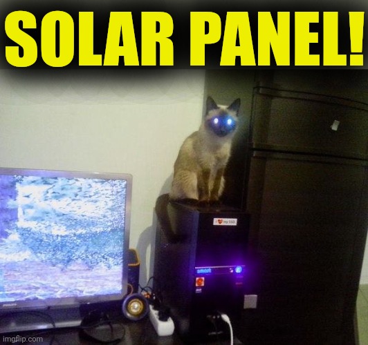 Internet Cat | SOLAR PANEL! | image tagged in internet cat | made w/ Imgflip meme maker