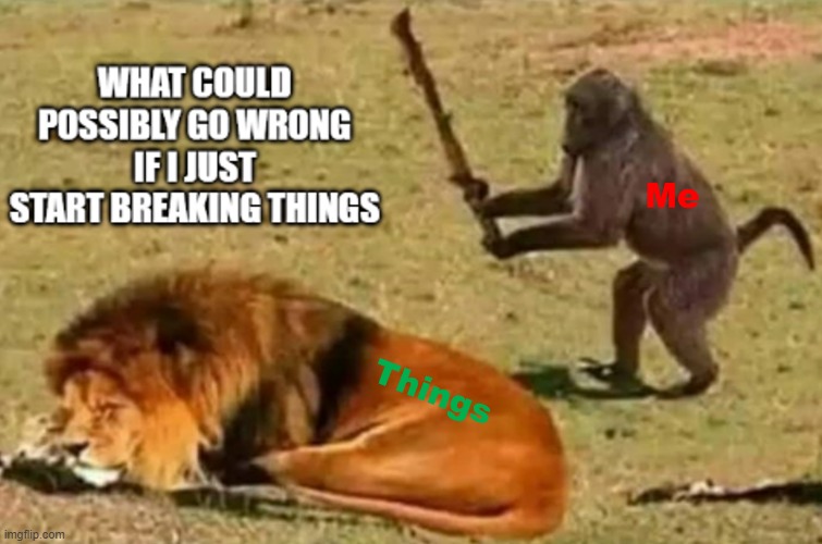 Don't Mind Me | image tagged in wcgw,shocked monkey,gonna learn today,messed around and found out | made w/ Imgflip meme maker