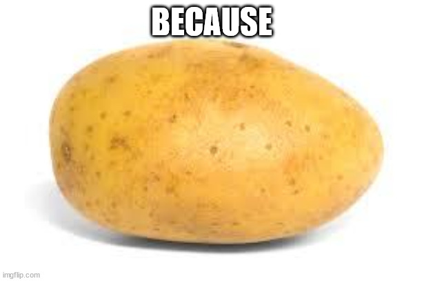 Potato | BECAUSE | image tagged in potato | made w/ Imgflip meme maker