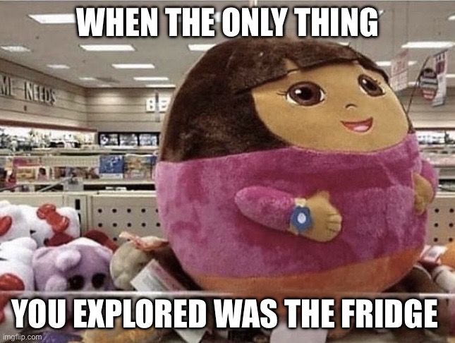 Dora | WHEN THE ONLY THING; YOU EXPLORED WAS THE FRIDGE | image tagged in dora | made w/ Imgflip meme maker