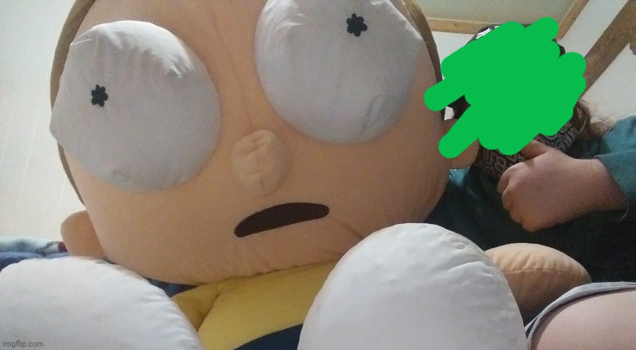 I JUST FOUND THIS I SWEAR MORTY LOOKS TRAUMATISED | made w/ Imgflip meme maker