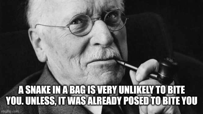 Maybe it is a metaphor for some religion, as an expression not to keep venomous people in there life | A SNAKE IN A BAG IS VERY UNLIKELY TO BITE YOU. UNLESS, IT WAS ALREADY POSED TO BITE YOU | image tagged in carl jung,toxic culture church,1910 kentucky | made w/ Imgflip meme maker