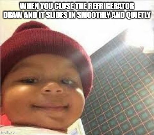 Satisfied Baby | WHEN YOU CLOSE THE REFRIGERATOR DRAW AND IT SLIDES IN SMOOTHLY AND QUIETLY | image tagged in satisfied baby,lol,memes | made w/ Imgflip meme maker