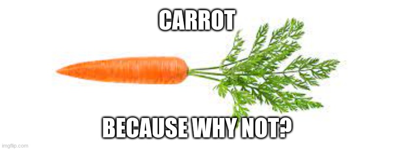 CARROT; BECAUSE WHY NOT? | image tagged in fun | made w/ Imgflip meme maker