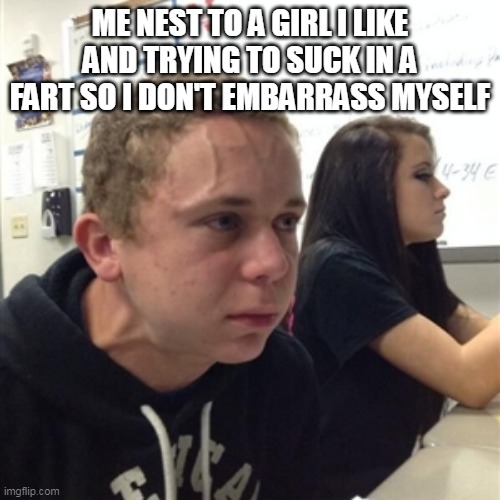 Vein forehead guy | ME NEST TO A GIRL I LIKE AND TRYING TO SUCK IN A FART SO I DON'T EMBARRASS MYSELF | image tagged in vein forehead guy,memes | made w/ Imgflip meme maker