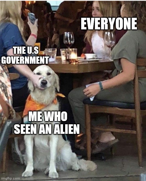 Oh no | EVERYONE; THE U.S GOVERNMENT; ME WHO SEEN AN ALIEN | image tagged in lady holding dog mouth closed,alien,meme | made w/ Imgflip meme maker