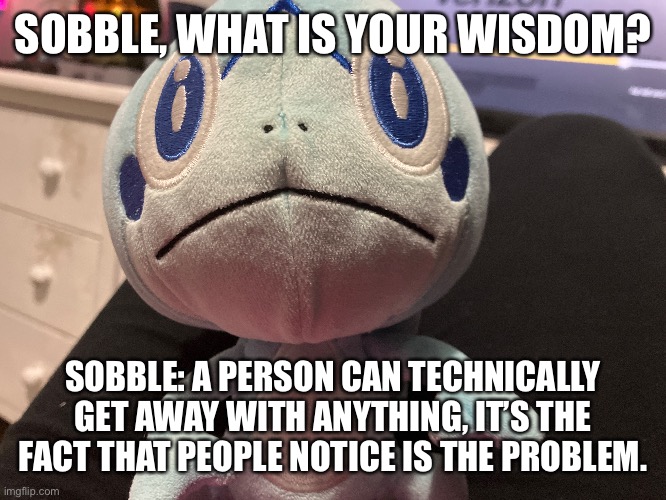 SOBBLE, WHAT IS YOUR WISDOM? SOBBLE: A PERSON CAN TECHNICALLY GET AWAY WITH ANYTHING, IT’S THE FACT THAT PEOPLE NOTICE IS THE PROBLEM. | made w/ Imgflip meme maker