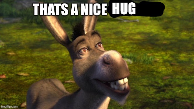 Donkey from Shrek that's a nice boulder | HUG | image tagged in donkey from shrek that's a nice boulder | made w/ Imgflip meme maker