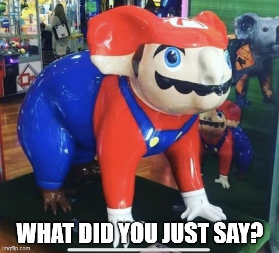 moria | WHAT DID YOU JUST SAY? | image tagged in moria,memes,mario | made w/ Imgflip meme maker