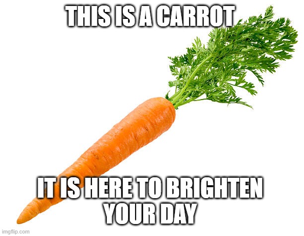 I hope you have a carrotastic day | THIS IS A CARROT; IT IS HERE TO BRIGHTEN 
YOUR DAY | made w/ Imgflip meme maker