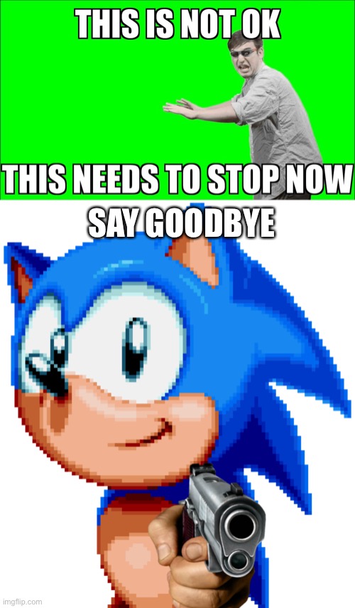 SAY GOODBYE | image tagged in this is not ok,sonic with a gun | made w/ Imgflip meme maker