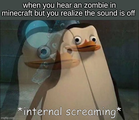 Private Internal Screaming | when you hear an zombie in minecraft but you realize the sound is off | image tagged in private internal screaming | made w/ Imgflip meme maker