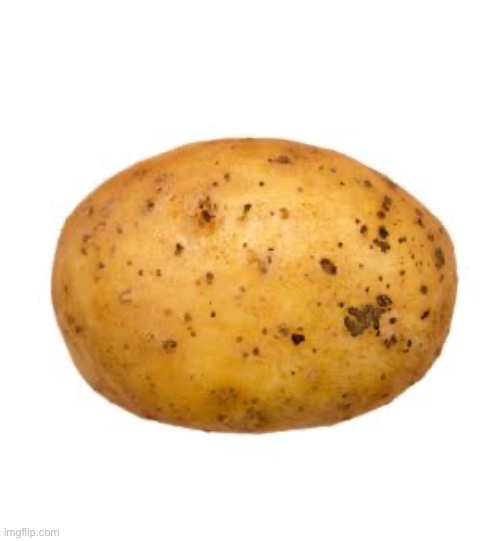 Potato | image tagged in memes | made w/ Imgflip meme maker