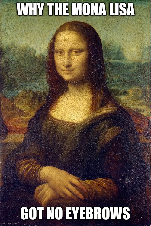 WHY THE MONA LISA; GOT NO EYEBROWS | made w/ Imgflip meme maker