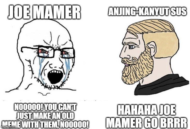 Where are you an old meme? | JOE MAMER; ANJING-KANYUT SUS; HAHAHA JOE MAMER GO BRRR; NOOOOO! YOU CAN'T JUST MAKE AN OLD MEME WITH THEM, NOOOOO! | image tagged in soyboy vs yes chad,memes | made w/ Imgflip meme maker