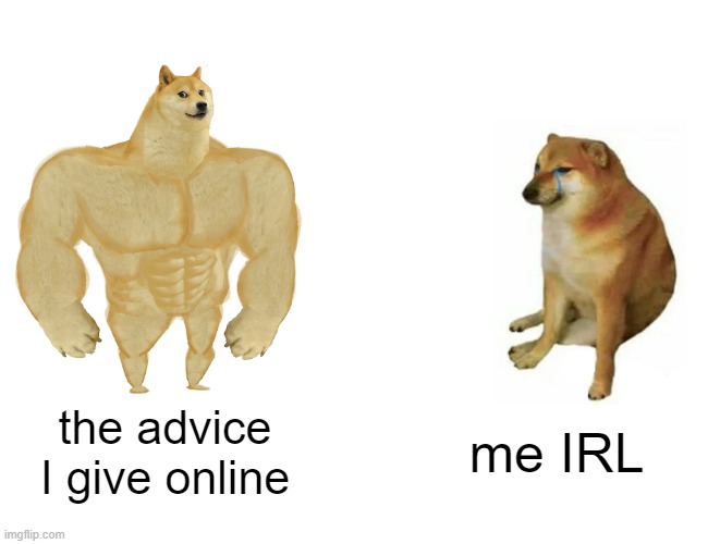 Buff Doge vs. Cheems | the advice I give online; me IRL | image tagged in memes,buff doge vs cheems | made w/ Imgflip meme maker