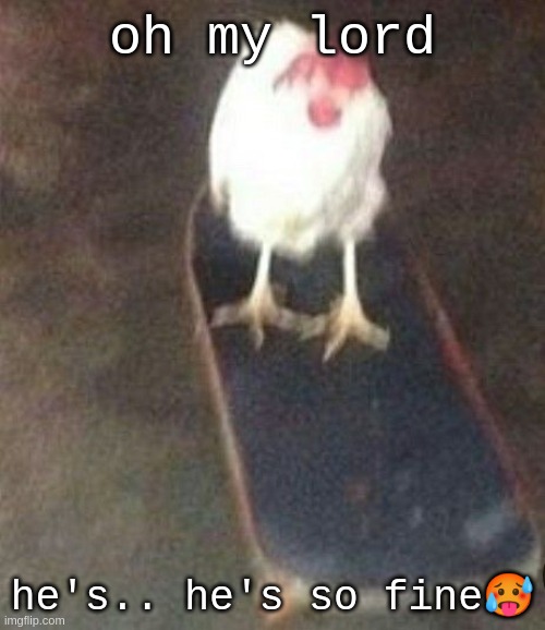 comments | oh my lord; he's.. he's so fine🥵️ | image tagged in dog on skateboard | made w/ Imgflip meme maker