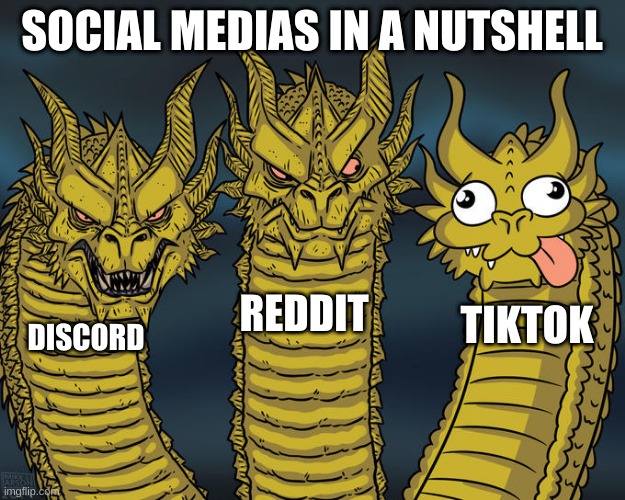 Three-headed Dragon | SOCIAL MEDIAS IN A NUTSHELL; REDDIT; TIKTOK; DISCORD | image tagged in three-headed dragon | made w/ Imgflip meme maker