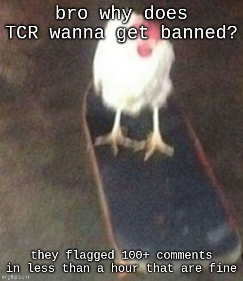Dog on skateboard | bro why does TCR wanna get banned? they flagged 100+ comments in less than a hour that are fine | image tagged in dog on skateboard | made w/ Imgflip meme maker