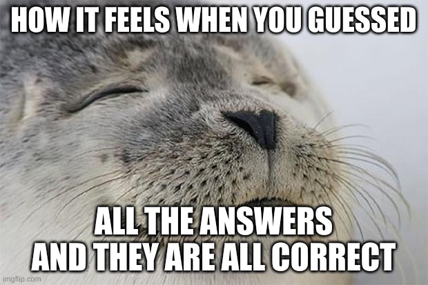 Satisfied Seal | HOW IT FEELS WHEN YOU GUESSED; ALL THE ANSWERS AND THEY ARE ALL CORRECT | image tagged in memes,satisfied seal | made w/ Imgflip meme maker