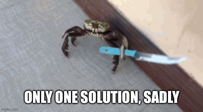 Knife wielding crab | ONLY ONE SOLUTION, SADLY | image tagged in knife wielding crab | made w/ Imgflip meme maker