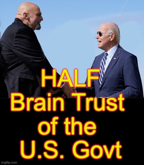 HALF
Brain Trust 
of the 
U.S. Govt | image tagged in fetterman,biden | made w/ Imgflip meme maker