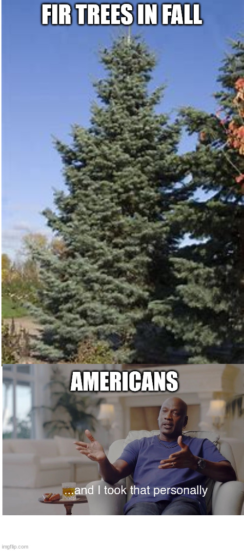 Why don't trees obey me? | FIR TREES IN FALL; AMERICANS | image tagged in trees,fall,and i took that personally,american | made w/ Imgflip meme maker