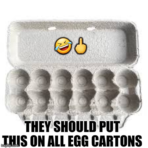 Egg cartons | 🤣🖕; THEY SHOULD PUT THIS ON ALL EGG CARTONS | image tagged in eggs | made w/ Imgflip meme maker