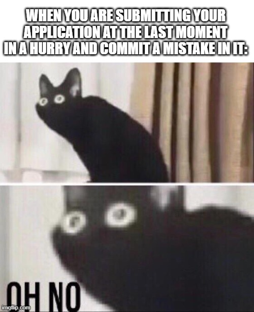 Last moment application woes! | WHEN YOU ARE SUBMITTING YOUR APPLICATION AT THE LAST MOMENT IN A HURRY AND COMMIT A MISTAKE IN IT: | image tagged in oh no cat | made w/ Imgflip meme maker