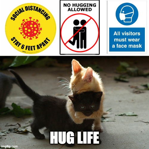 Hug Life | HUG LIFE | image tagged in thug life,corona,social distancing,face mask,covid restrictions | made w/ Imgflip meme maker