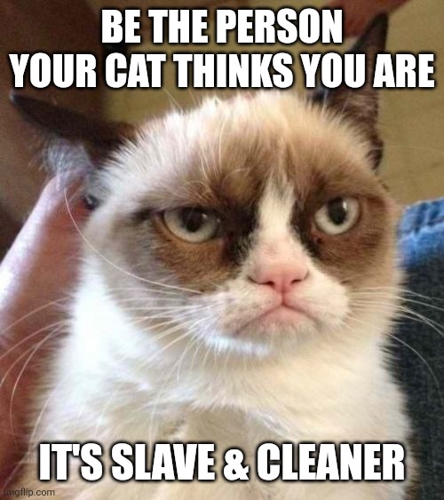 Be the person your cat thinks you are | BE THE PERSON YOUR CAT THINKS YOU ARE; IT'S SLAVE & CLEANER | image tagged in memes,grumpy cat reverse,grumpy cat | made w/ Imgflip meme maker