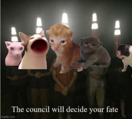 The council will decide your fate | image tagged in the council will decide your fate | made w/ Imgflip meme maker