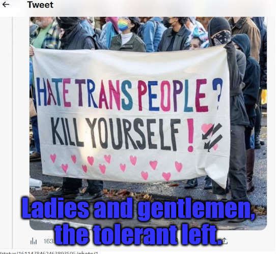 The People who call you Intolerant | Ladies and gentlemen, the tolerant left. | image tagged in transgender,tolerance | made w/ Imgflip meme maker
