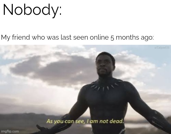 True story btw | Nobody:; My friend who was last seen online 5 months ago:; u/Catpaw616 | image tagged in as you can see i am not dead,online | made w/ Imgflip meme maker