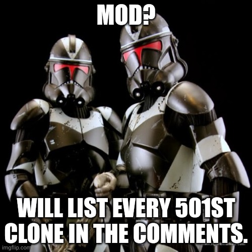 two clone troopers teamwork | MOD? WILL LIST EVERY 501ST CLONE IN THE COMMENTS. | image tagged in two clone troopers teamwork | made w/ Imgflip meme maker