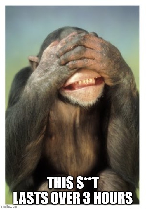 Monkey covers eyes | THIS S**T LASTS OVER 3 HOURS | image tagged in monkey covers eyes | made w/ Imgflip meme maker