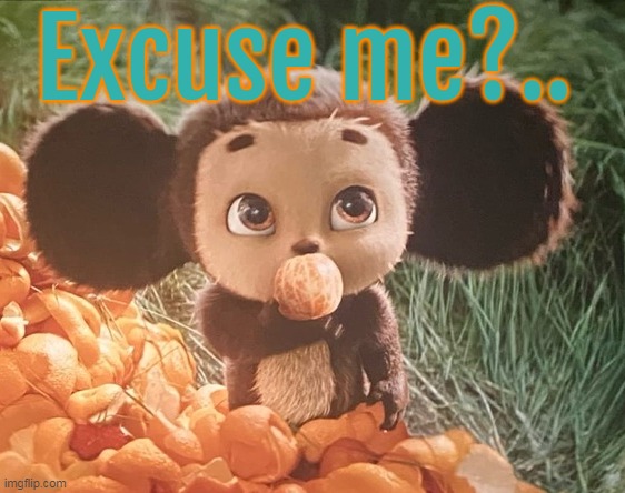 Cheburashka doesn't get it | Excuse me?.. | image tagged in wot,movie,cute animals,orange | made w/ Imgflip meme maker