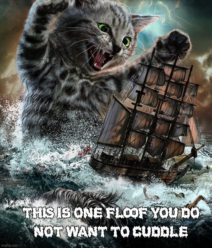 The Wrathful of Poseidon Cat | image tagged in cat,aqua | made w/ Imgflip meme maker