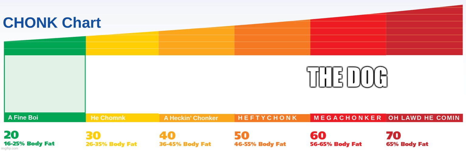 Chonk chart | THE DOG | image tagged in chonk chart | made w/ Imgflip meme maker