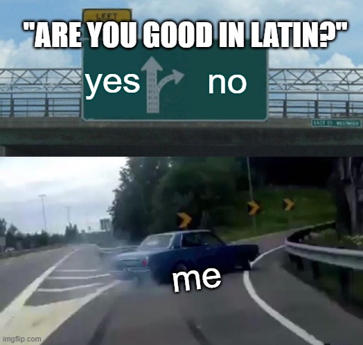 Left Exit 12 Off Ramp | "ARE YOU GOOD IN LATIN?"; yes; no; me | image tagged in memes,left exit 12 off ramp | made w/ Imgflip meme maker