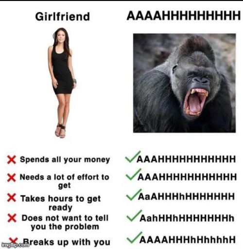 image tagged in dank memes,girlfriend,gorilla | made w/ Imgflip meme maker
