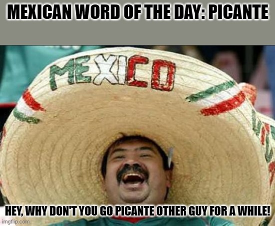 mexican word of the day | MEXICAN WORD OF THE DAY: PICANTE; HEY, WHY DON'T YOU GO PICANTE OTHER GUY FOR A WHILE! | image tagged in mexican word of the day | made w/ Imgflip meme maker