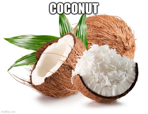 Plz follow my friend don’t think I can get 50 followers | COCONUT | image tagged in funny,memes,random,coconut | made w/ Imgflip meme maker