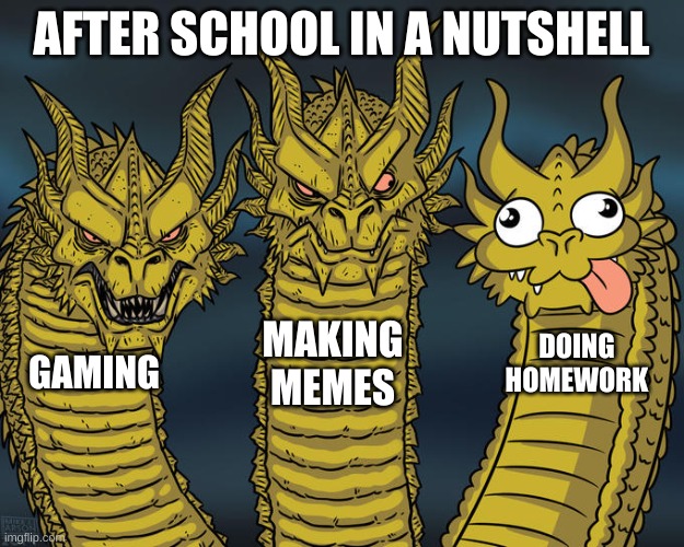 Three-headed Dragon | AFTER SCHOOL IN A NUTSHELL; MAKING MEMES; DOING HOMEWORK; GAMING | image tagged in three-headed dragon | made w/ Imgflip meme maker