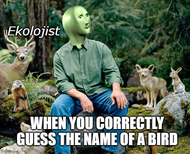 Bird | Ekolojist; WHEN YOU CORRECTLY GUESS THE NAME OF A BIRD | image tagged in ekolojist | made w/ Imgflip meme maker