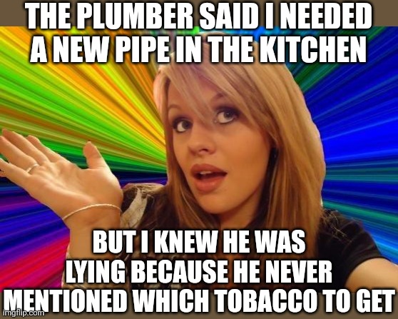 Don't you love how language uses the same word for totally different objects? Were we running out or something? |  THE PLUMBER SAID I NEEDED A NEW PIPE IN THE KITCHEN; BUT I KNEW HE WAS LYING BECAUSE HE NEVER MENTIONED WHICH TOBACCO TO GET | image tagged in memes,dumb blonde,words,pipe,plumber,idiots | made w/ Imgflip meme maker