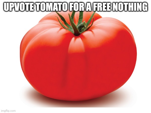 UPVOTE TOMATO FOR A FREE NOTHING | made w/ Imgflip meme maker